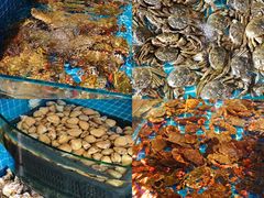 -蓝珊甄选海鲜自助·火锅大排档(近阿那亚店)