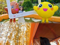 -黄海国家森林公园