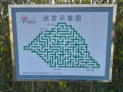 -上海鲜花港