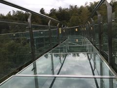 -陶祖圣境风景区