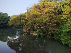 -花溪公园