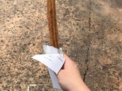 吉事果25-上海迪士尼度假区