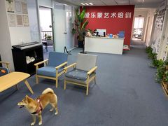 -爱乐蒙艺术·古筝 钢琴 声乐(科华校区)