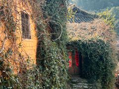 -杨家堂村