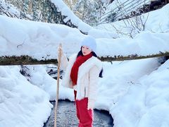 -峡谷浮石林景区