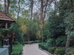 -天目湖涵田半山温泉