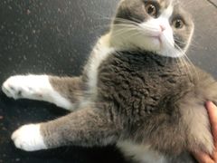 -KingBull私教健身&格斗订制(龙井商业中心店)
