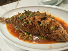 -新侨小馆(东直门北小街店)