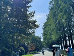 -东湖落雁景区