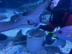 -海合安武汉极地海洋公园