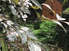 -中国铁路上海局集团有限公司杭州职工培训基地