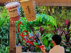 -深圳国际园林花卉博览园