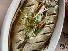 清蒸白鱼-蟹村草堂·苏式园林人文农家·大闸蟹