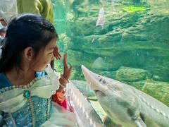 -江和美海洋公园
