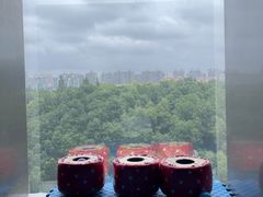 -上海中谷小南国花园酒店