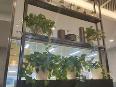 -必胜客(玉泉远洋店)