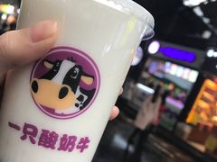 -一只酸奶牛(八一路店)