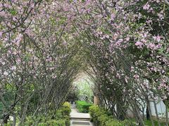 -汤山一号温泉度假区