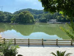 -广州市帽峰山景区