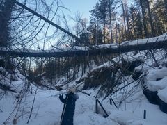-峡谷浮石林景区