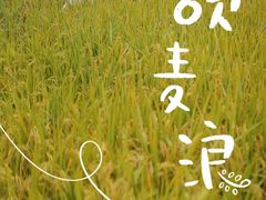 -中国天府农业博览园