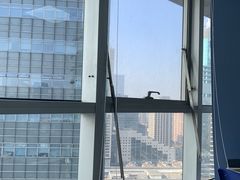 -新航道雅思托福·留学·考研培训(人民广场校区)