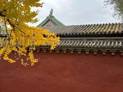 -少林寺欢喜地素斋馆