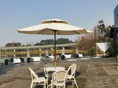 -白鹭湾湿地公园