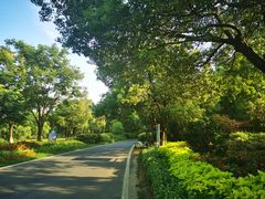 -艾溪湖湿地公园