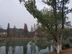 -常德桃花源景区