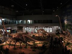 -自贡恐龙博物馆