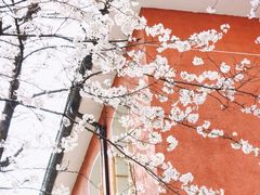 -浙江省杭州高级中学(贡院校区)