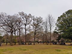 -井之头恩赐公园