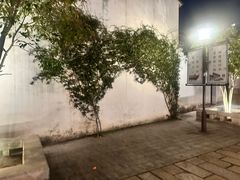 -青果巷历史文化街区