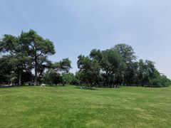 -御林古桑园