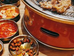 -闻老头·菊花炭烤肉(D11店)