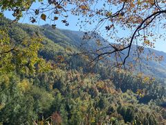 -塔川景区