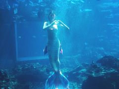 -海棠湾洲际-涛·海底餐厅·美人鱼·自助餐·海底隧道