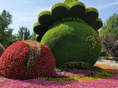 -大兴滨河森林公园