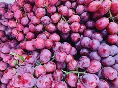 -红星农博物流中心