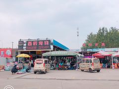 -中环花鸟鱼虫市场