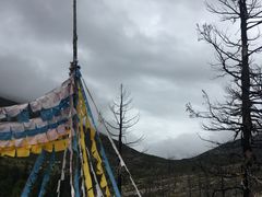 -康定跑马山风景区