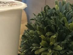 -85度C(大连店)