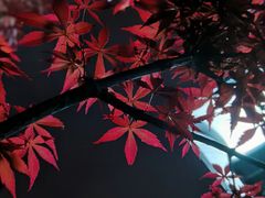 -金银湖市民文体活动中心恒温游泳馆
