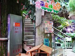 -正佳雨林生态植物园