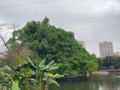 -晓港公园
