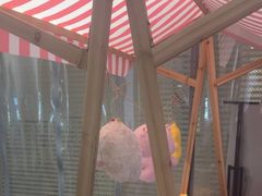 -白兔子密室(长寿路店)