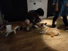 -M-3 PUB(创智天地店)
