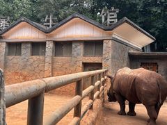 -昆明动物园
