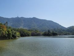-深圳仙湖植物园